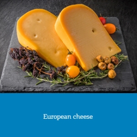 European cheese