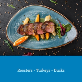 Roosters - Turkeys - Ducks